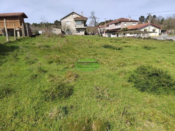 Terreno en Cartelle photo 4