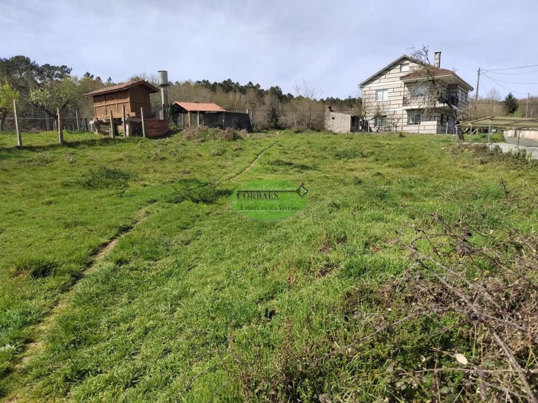 Terreno en venta en Cartelle, Ourense photo 5