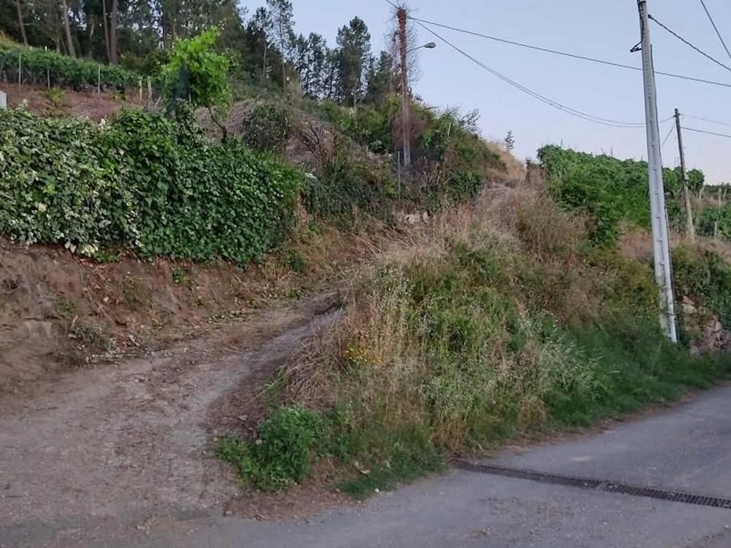 Land for sale in Castrelo de Miño, Ourense photo 2