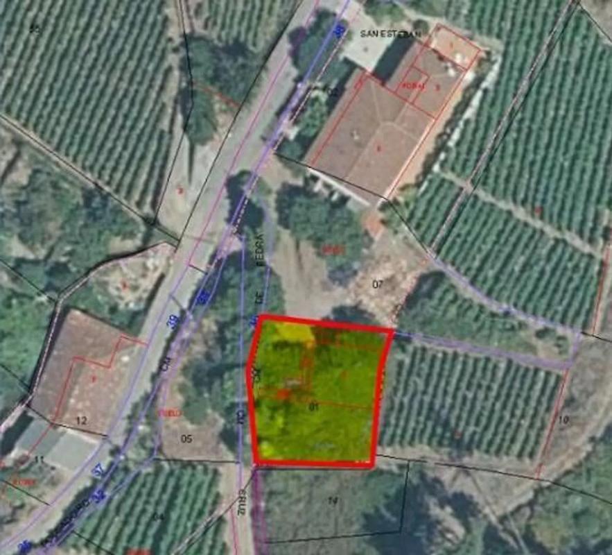 Land for sale in Castrelo de Miño, Ourense photo 4