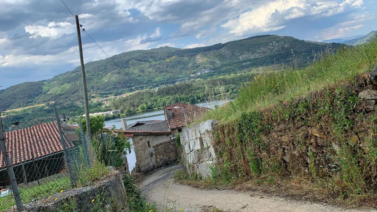 Land for sale in Castrelo de Miño, Ourense photo 2