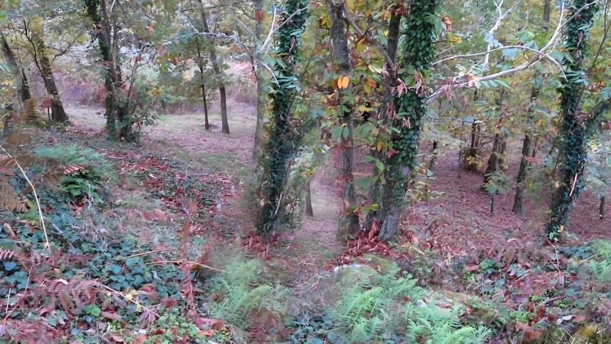 Terreno en venta en Castro Caldelas, Ourense photo 1