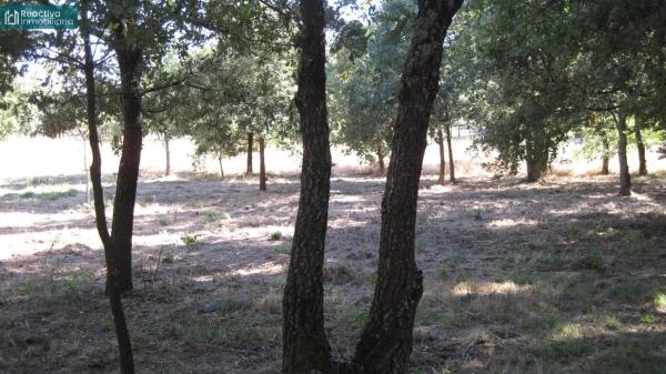 Terreno en Aldea Quintas, 1 photo 1