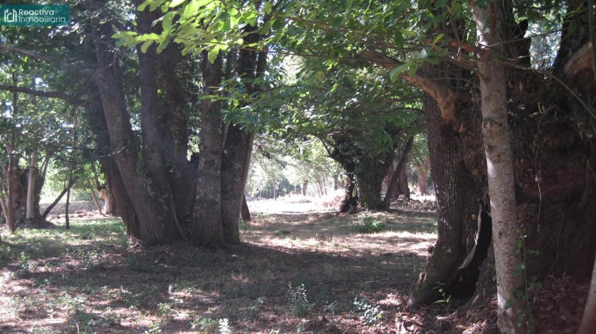 Działka na sprzedaż w Celanova, Ourense photo 2