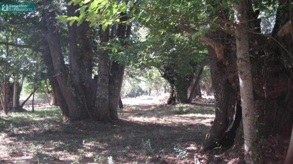 Terreno en Aldea Quintas, 1 photo 2
