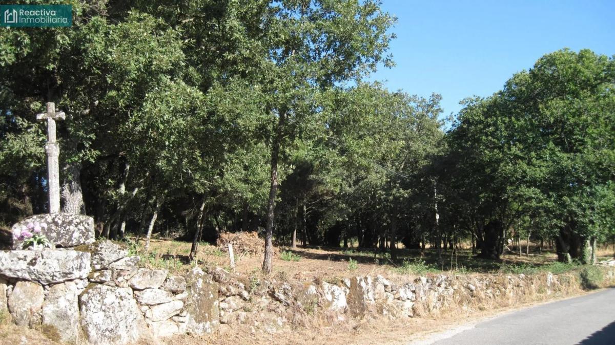 Działka na sprzedaż w Celanova, Ourense photo 3