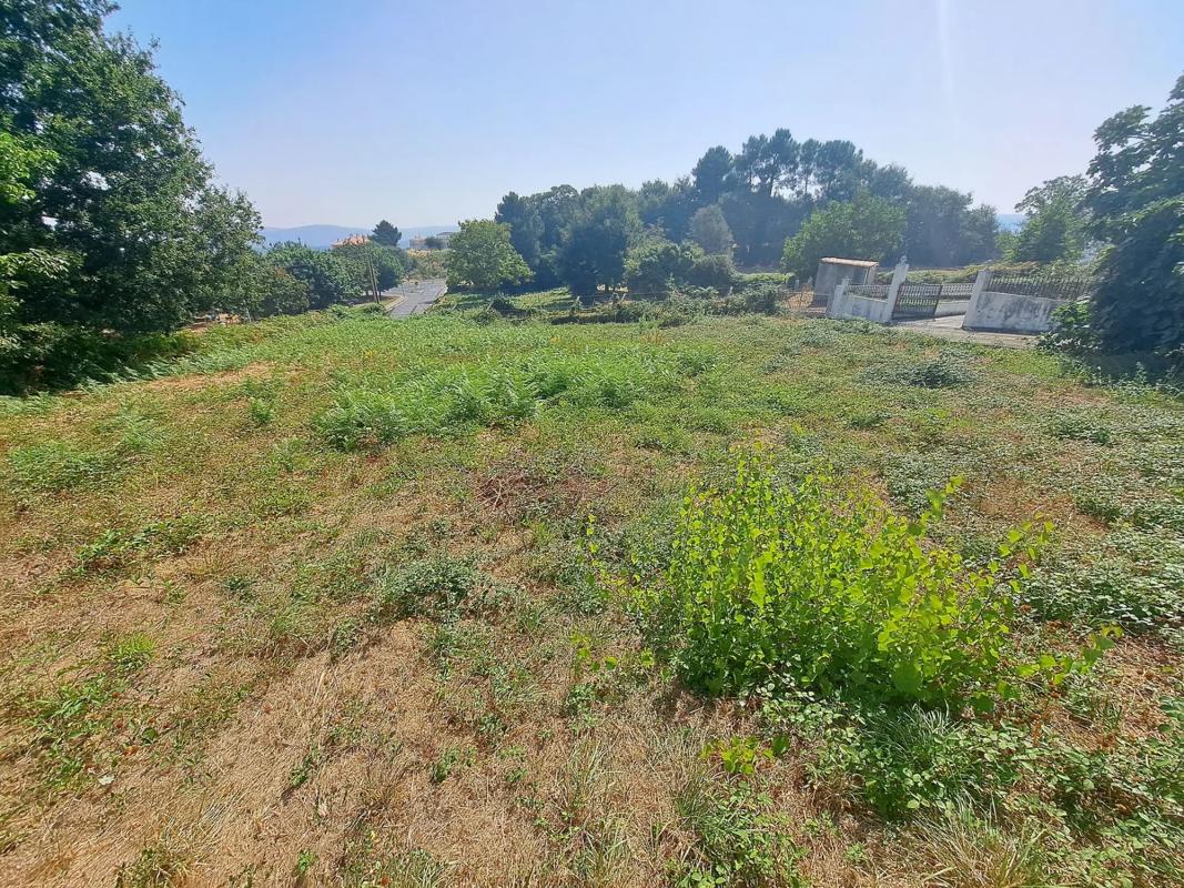 Terreno en venta en Celanova, Ourense photo 4