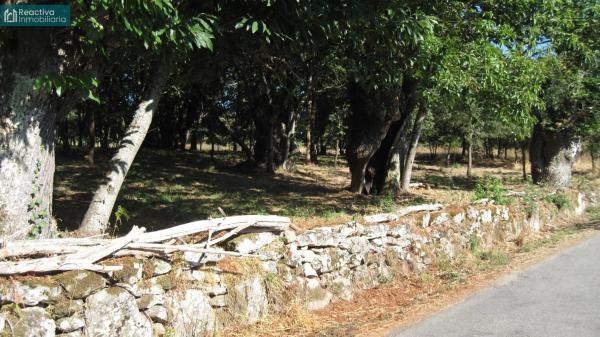 Terreno en Aldea Quintas, 1 photo 4