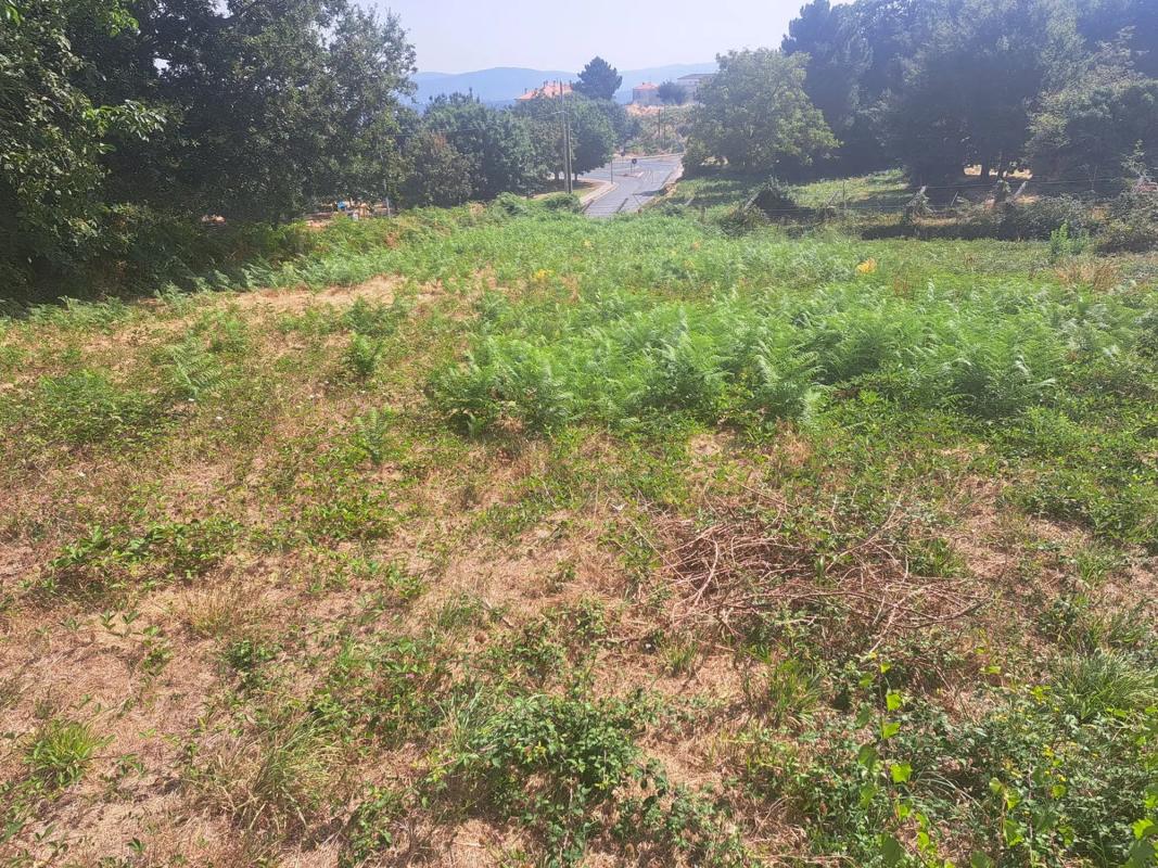 Terreno en venta en Celanova, Ourense photo 5