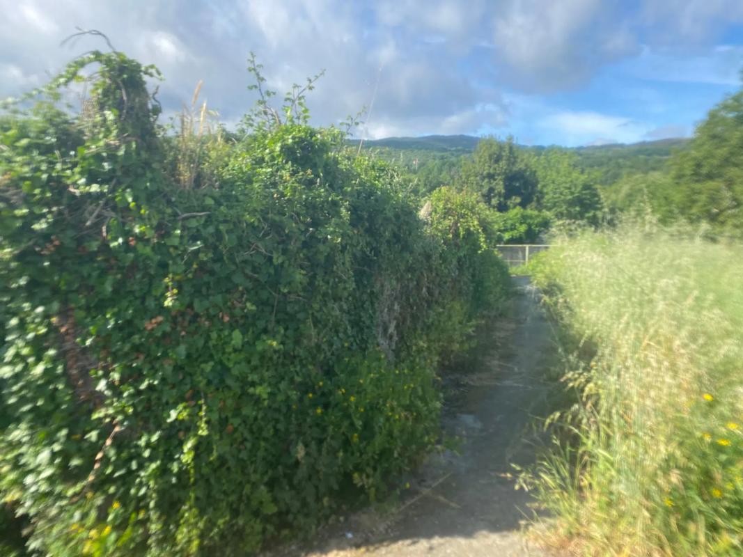 Terreno en venta en Celanova, Ourense photo 2