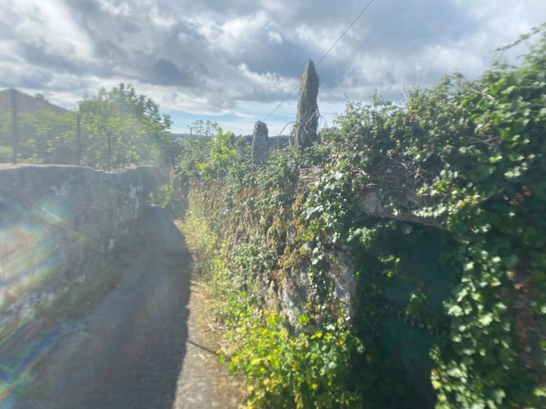Terreno en venta en Celanova, Ourense photo 4