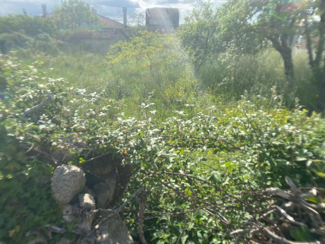 Terreno en venta en Celanova, Ourense photo 5