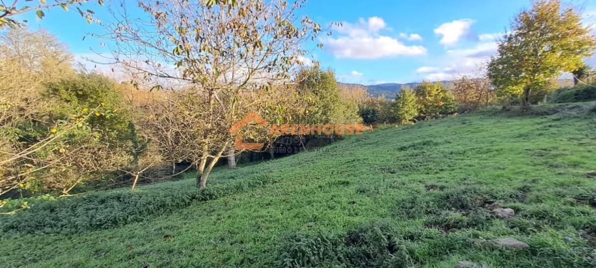 Land for sale in Celanova, Ourense photo 2