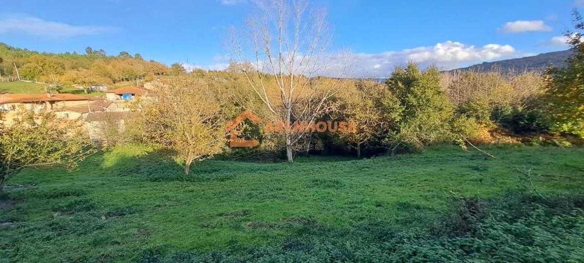 Land for sale in Celanova, Ourense photo 5