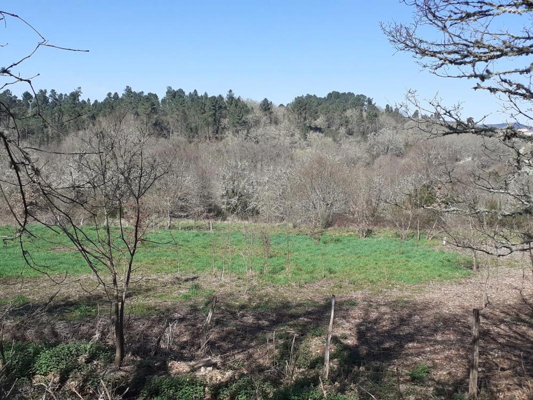 Terreno en venta en Celanova, Ourense photo 1