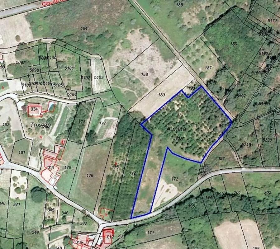 Terreno en venta en Celanova, Ourense photo 1