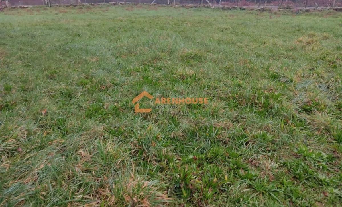 Land for sale in Celanova, Ourense photo 1