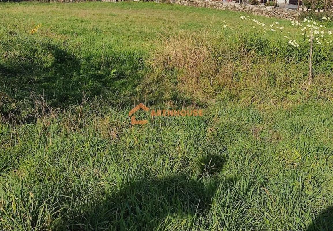 Land for sale in Celanova, Ourense photo 1