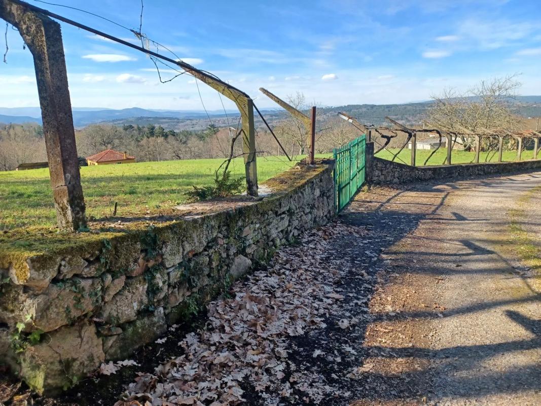 Land for sale in Celanova, Ourense photo 1