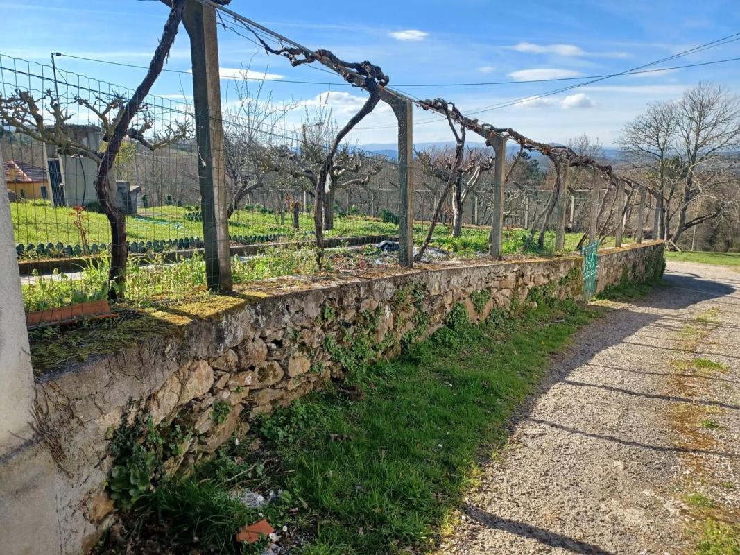 Land for sale in Celanova, Ourense photo 2
