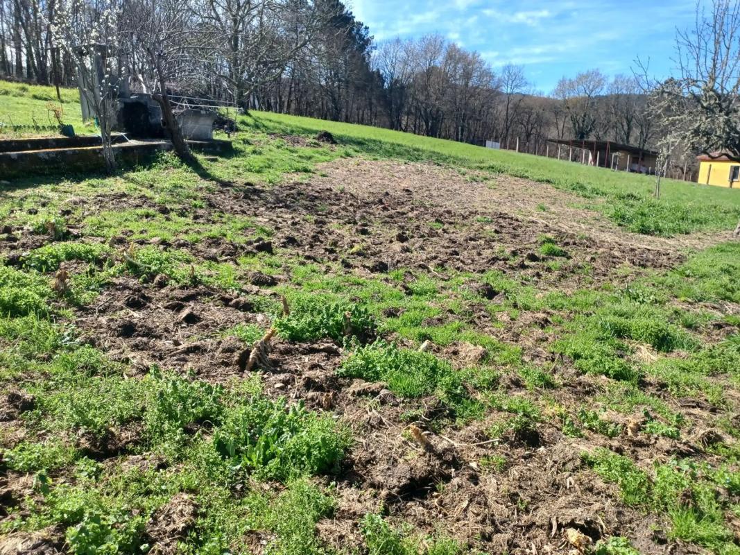 Land for sale in Celanova, Ourense photo 3