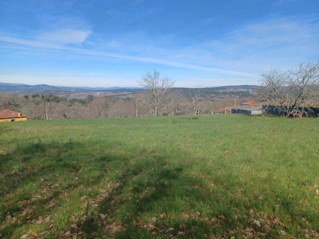 Land for sale in Celanova, Ourense photo 4