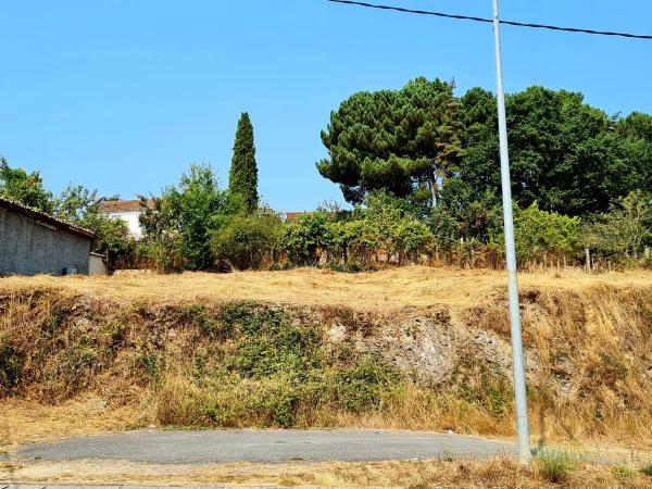 Terreno en avenida Francisco González Rey, 11 photo 4