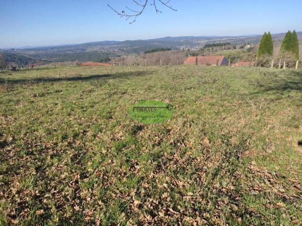 Terreno en Celanova photo 1