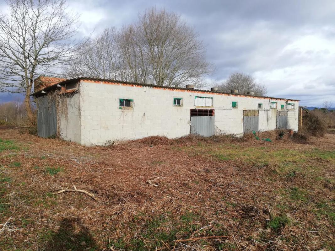 Land for sale in Celanova, Ourense photo 1