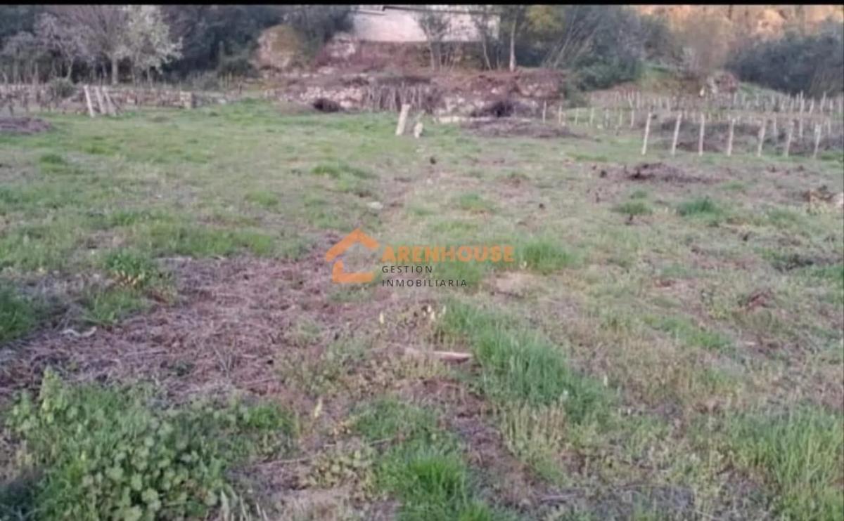 Terreno en venta en Cenlle, Ourense photo 1