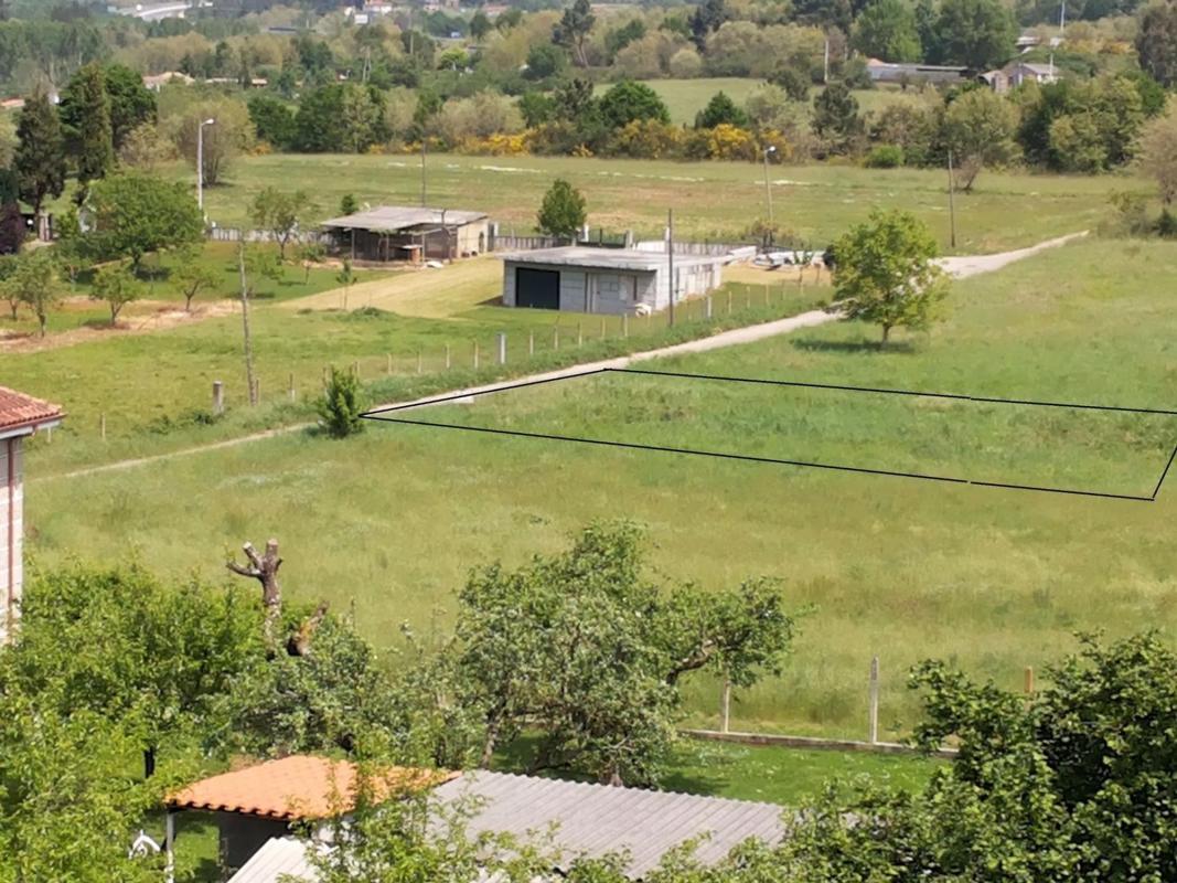 Land for sale in Celanova, Ourense photo 1