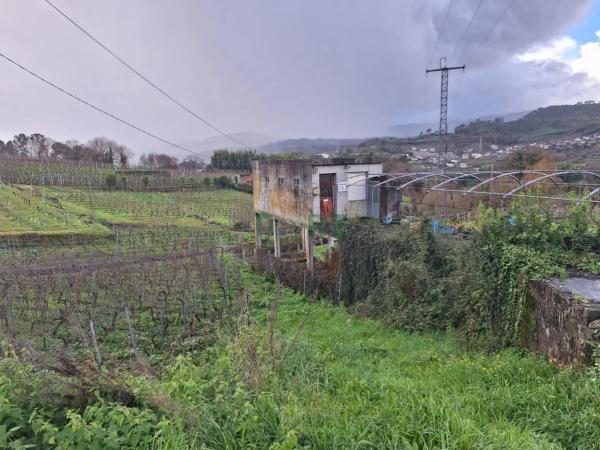 Terreno en carretera de Esposende photo 4