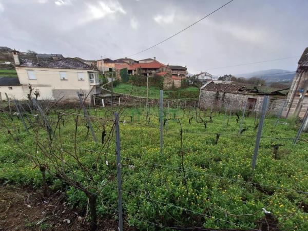 Terreno en Cenlle photo 4