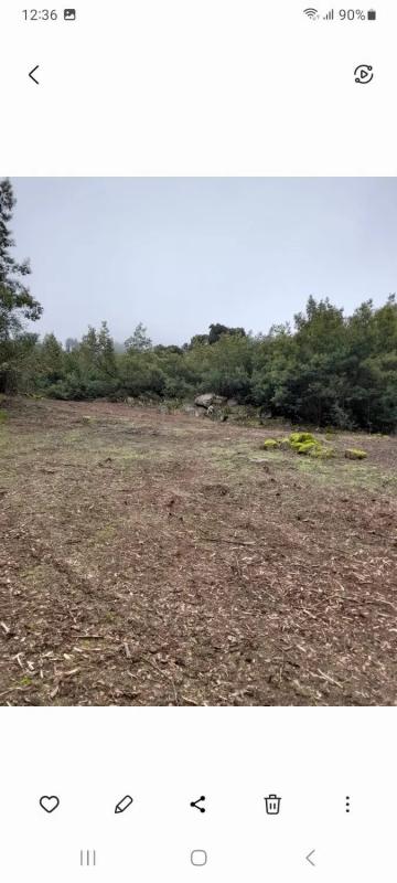 Terreno en venta en Cenlle, Ourense photo 3