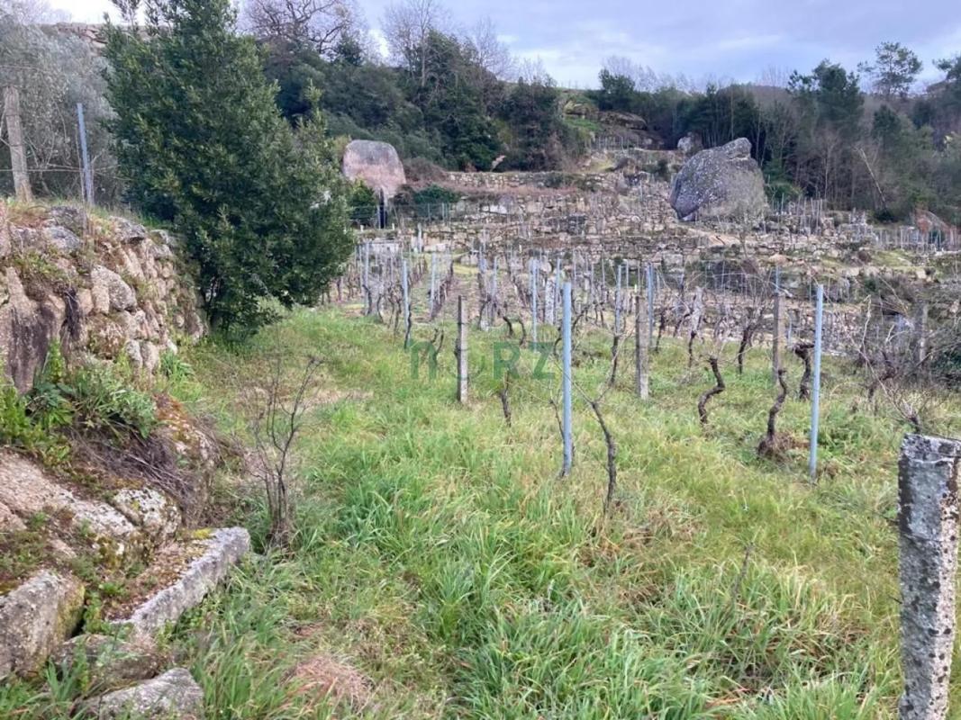 Terreno en venta en Cenlle, Ourense photo 2
