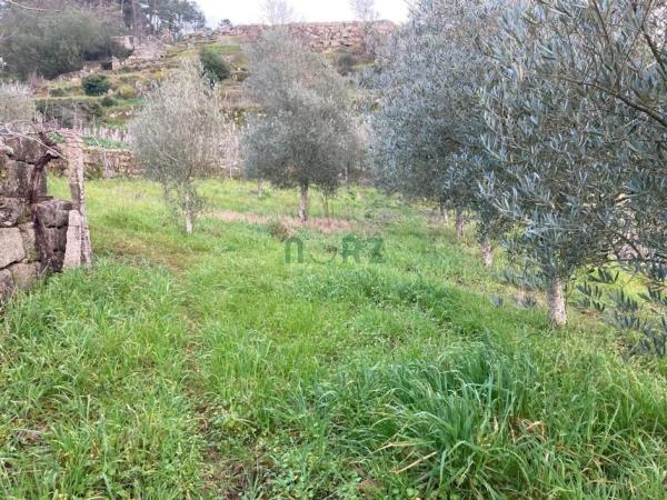 Terreno en Cenlle thumbnail 2