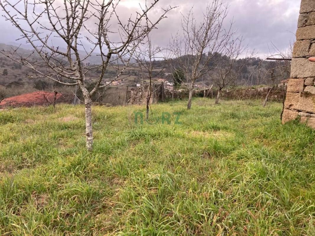 Terreno en venta en Cenlle, Ourense photo 4