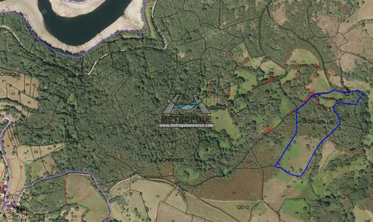 Terreno en venta en Chandrexa de Queixa, Ourense photo 2