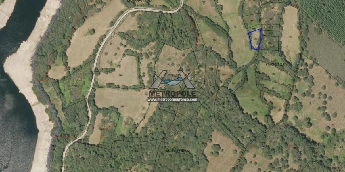 Terreno en venta en Chandrexa de Queixa, Ourense photo 3