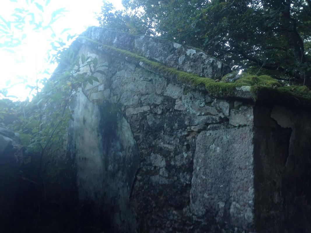 Działka na sprzedaż w Entrimo, Ourense photo 5