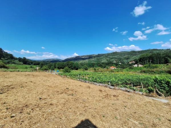 Terreno en Leiro photo 1