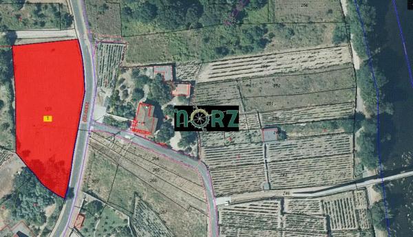 Terreno en Leiro photo