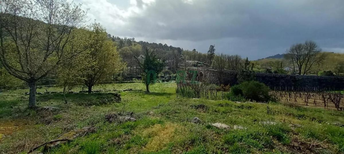 Land for sale in Leiro, Ourense photo 3