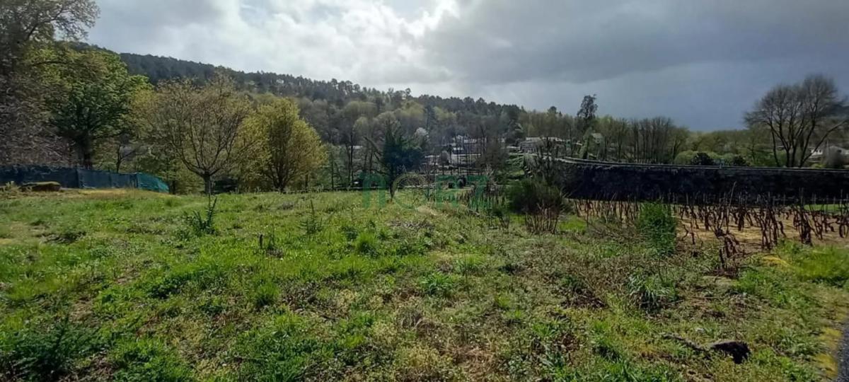 Land for sale in Leiro, Ourense photo 5