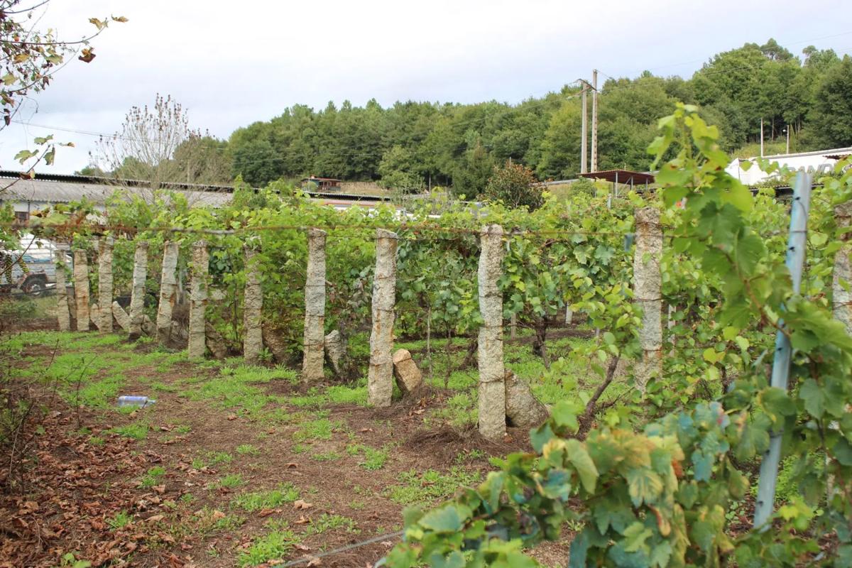 Участок земли на продажу в Лейро, Оренсе photo 3