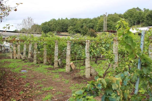 Terreno en calle Gabino Bugallal, 1 photo 3