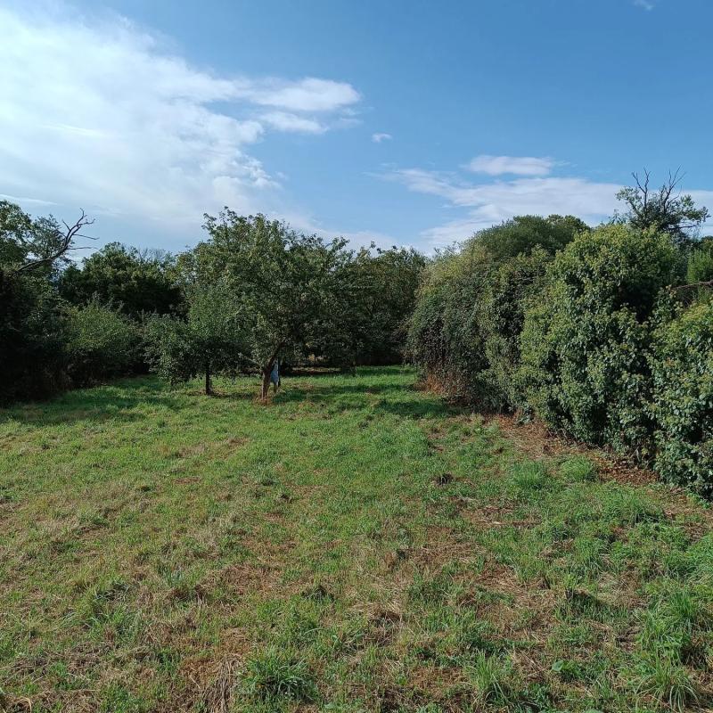 Terreno en venta en Maceda, Ourense photo 2