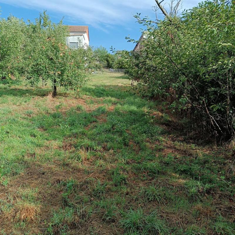 Terreno en venta en Maceda, Ourense photo 4
