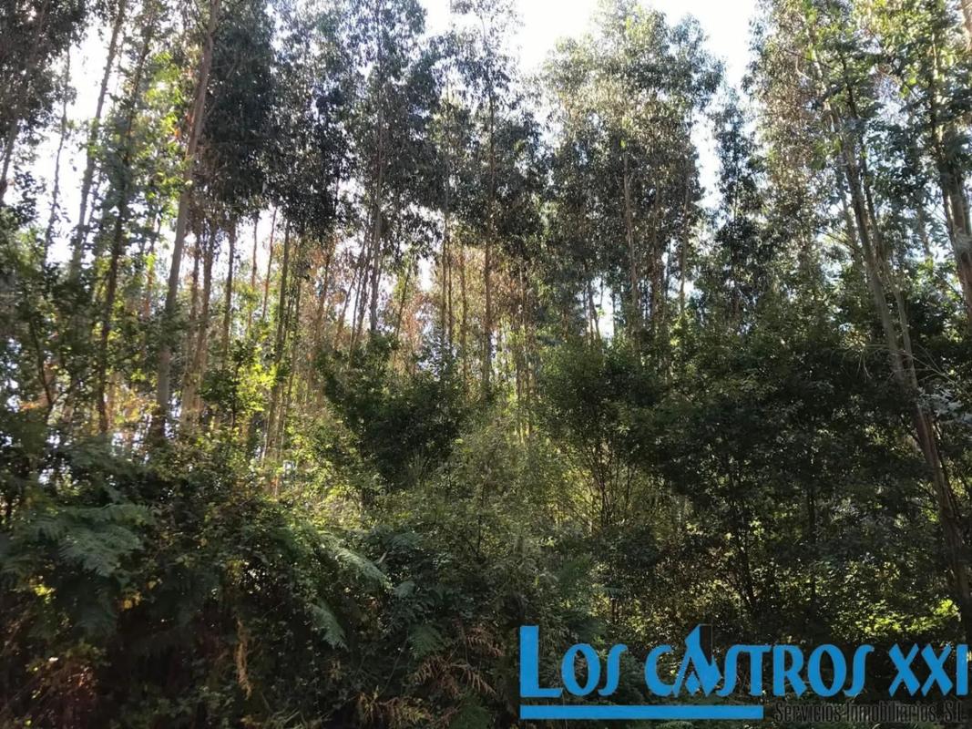 Terreno en venta en Maside, Ourense photo 3