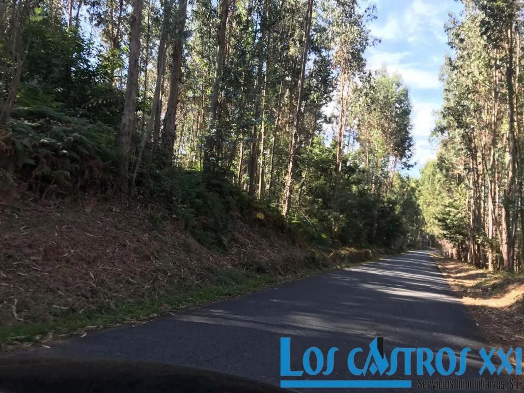 Terreno en venta en Maside, Ourense photo 4